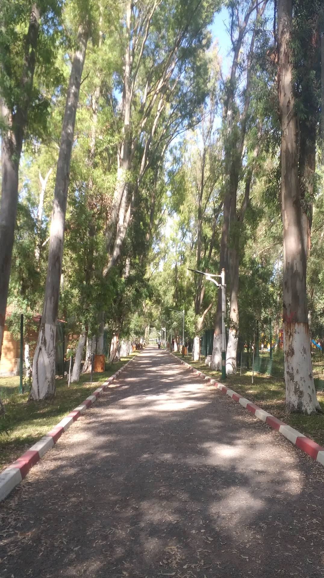 الممشى الرئيسي